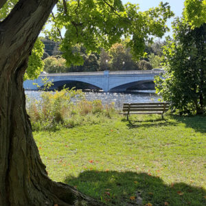photo of a bench in a park, overlooking a river with a bridge crossing it