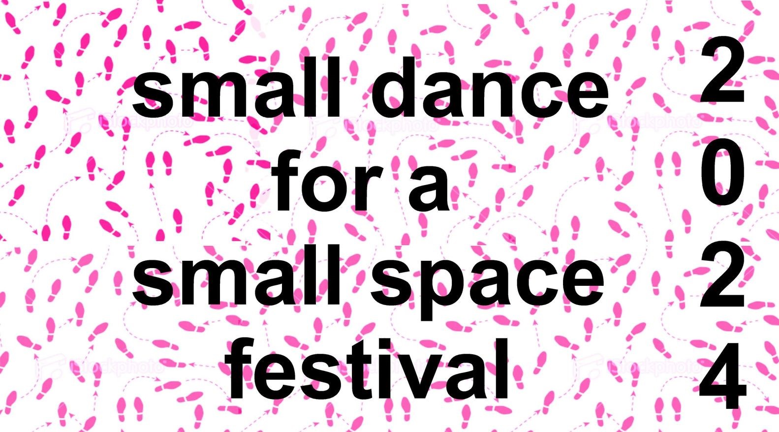 small dance for a small space festival 2024  in the photo.